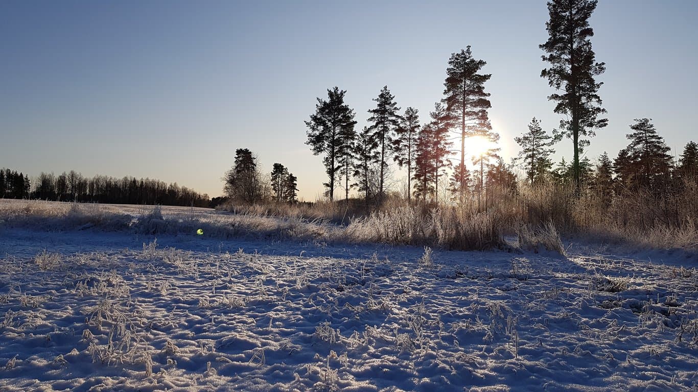 20191202_124449 (1).jpg